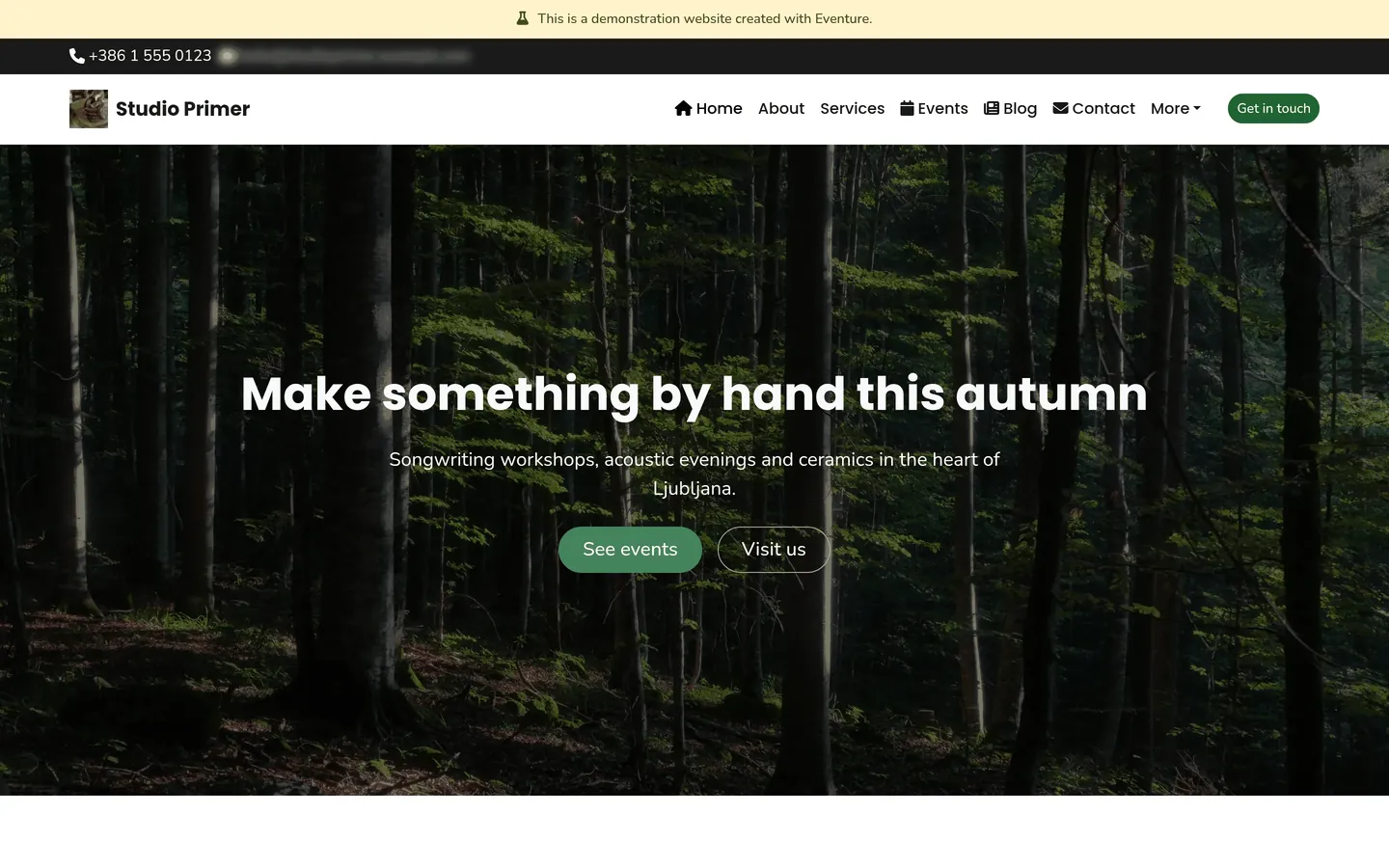 The preview, showing the site as a visitor sees it.